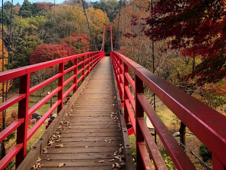 H28涸沼自然公園吊り橋塗装塗替工事／茨城町