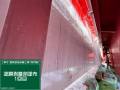 橋梁塗装修繕工事（海門橋）
