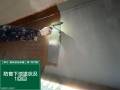 橋梁塗装修繕工事（海門橋）